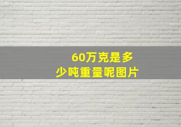 60万克是多少吨重量呢图片