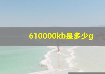 610000kb是多少g