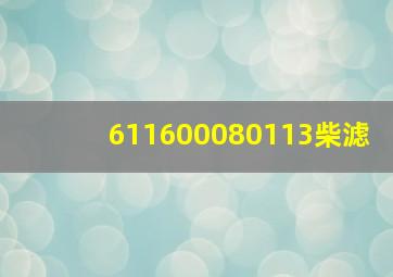 611600080113柴滤