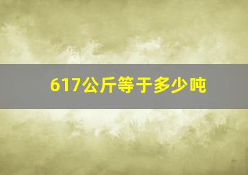 617公斤等于多少吨