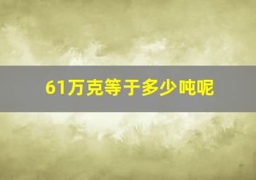 61万克等于多少吨呢