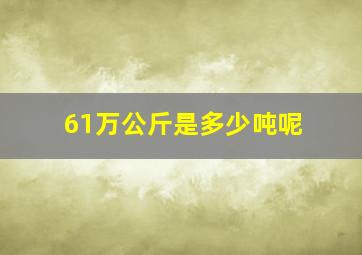 61万公斤是多少吨呢