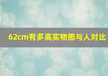 62cm有多高实物图与人对比