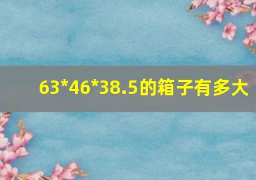 63*46*38.5的箱子有多大