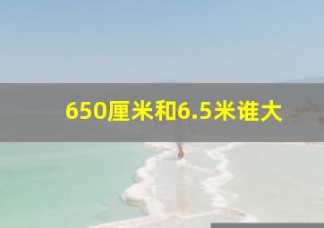 650厘米和6.5米谁大