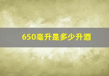 650毫升是多少升酒