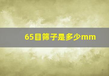 65目筛子是多少mm