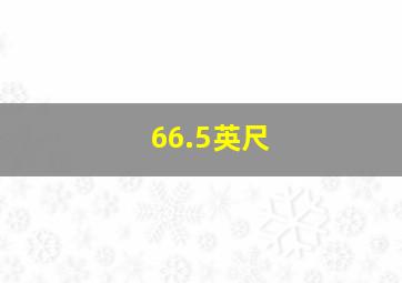 66.5英尺