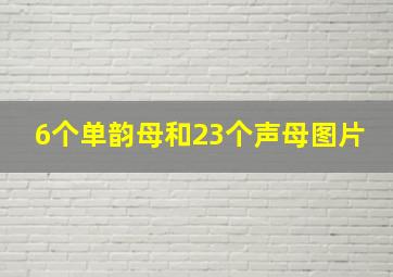 6个单韵母和23个声母图片