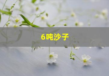 6吨沙子