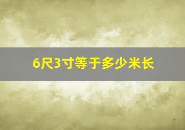 6尺3寸等于多少米长