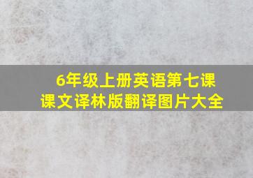 6年级上册英语第七课课文译林版翻译图片大全