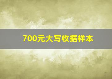 700元大写收据样本