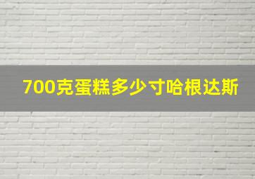 700克蛋糕多少寸哈根达斯