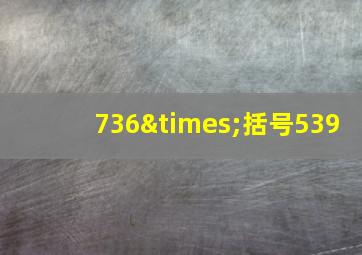 736×括号539