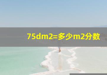 75dm2=多少m2分数