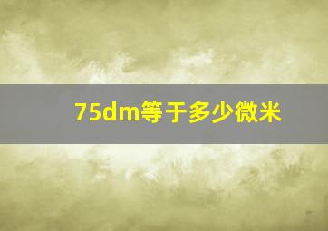 75dm等于多少微米