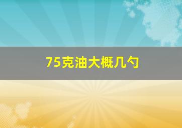 75克油大概几勺