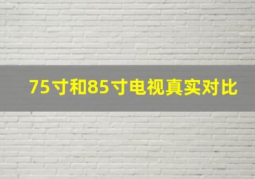 75寸和85寸电视真实对比