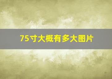 75寸大概有多大图片