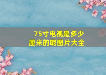 75寸电视是多少厘米的呢图片大全