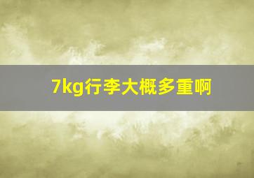 7kg行李大概多重啊