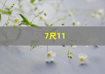 7尺11