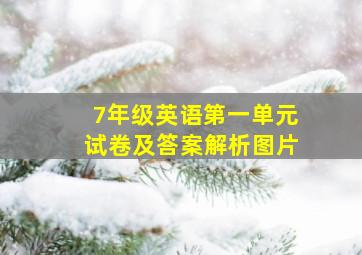 7年级英语第一单元试卷及答案解析图片