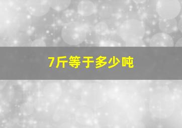 7斤等于多少吨