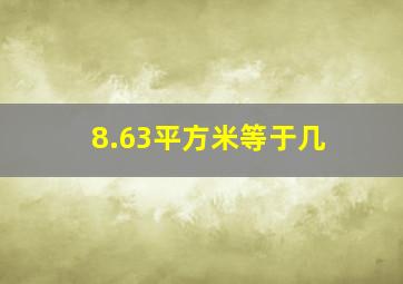 8.63平方米等于几