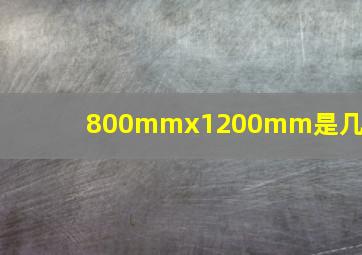 800mmx1200mm是几寸