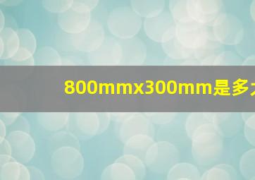 800mmx300mm是多大