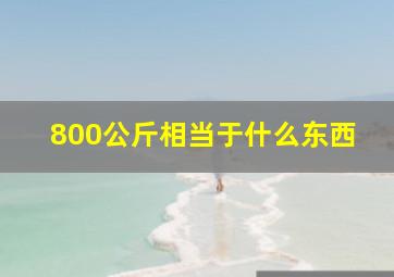 800公斤相当于什么东西