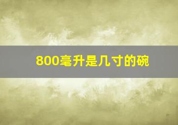 800毫升是几寸的碗