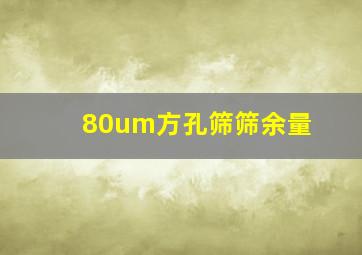 80um方孔筛筛余量