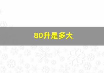 80升是多大