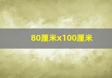 80厘米x100厘米