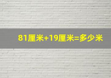 81厘米+19厘米=多少米