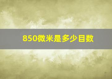 850微米是多少目数