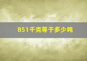 851千克等于多少吨