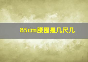 85cm腰围是几尺几