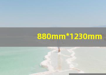 880mm*1230mm