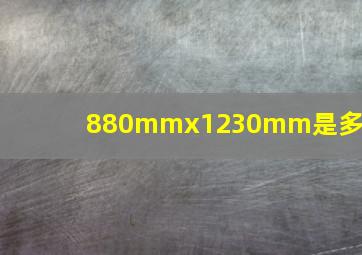 880mmx1230mm是多少