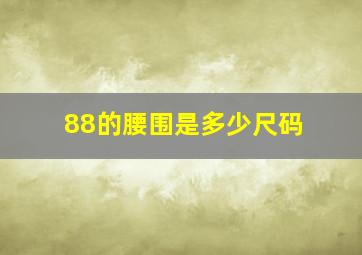 88的腰围是多少尺码