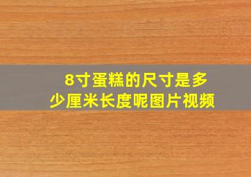 8寸蛋糕的尺寸是多少厘米长度呢图片视频