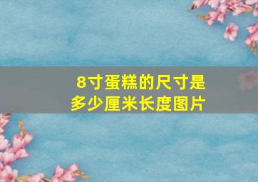 8寸蛋糕的尺寸是多少厘米长度图片