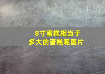 8寸蛋糕相当于多大的蛋糕呢图片