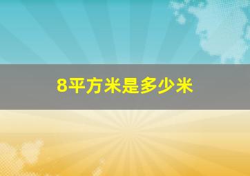 8平方米是多少米