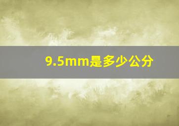 9.5mm是多少公分