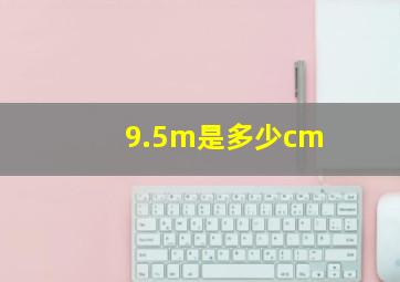 9.5m是多少cm